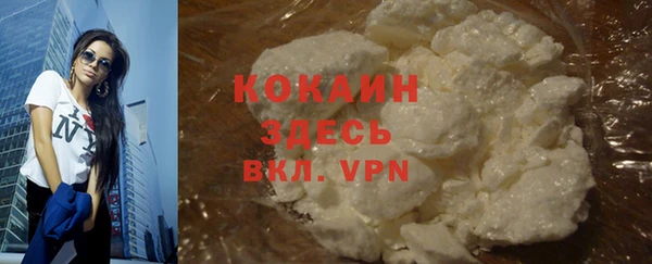 шишки Балабаново