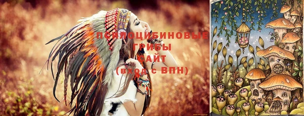 индика Саяногорск