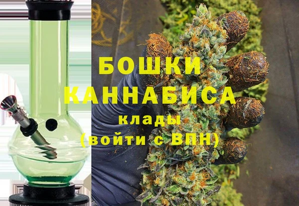 шишки Балабаново