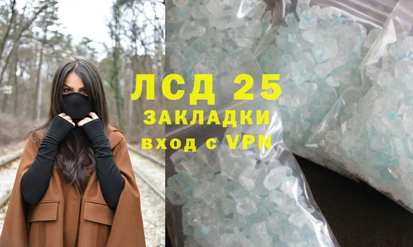 шишки Балабаново